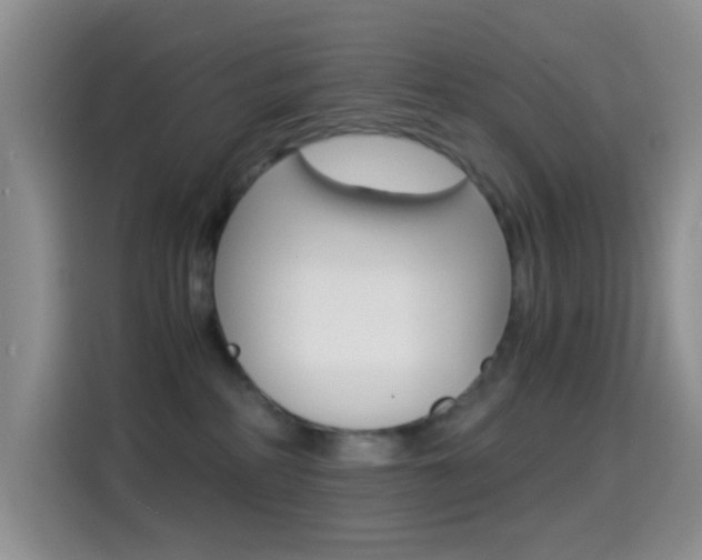 X0000114660234200910201027