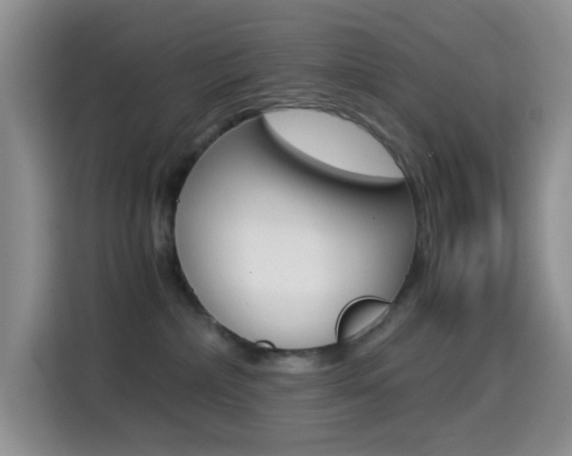 X0000114660236200910201027