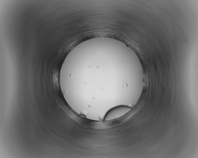 X0000114660238200910201027