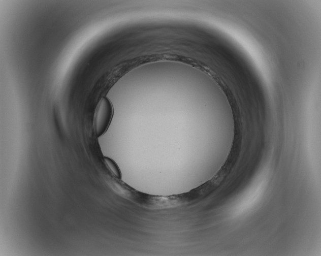 X0000114660239200910201027