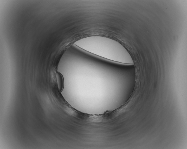 X0000114660240200910201027