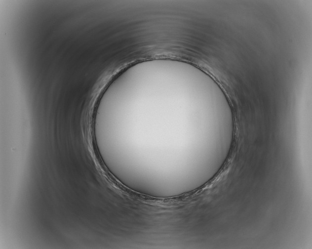 X0000114660241200910201026