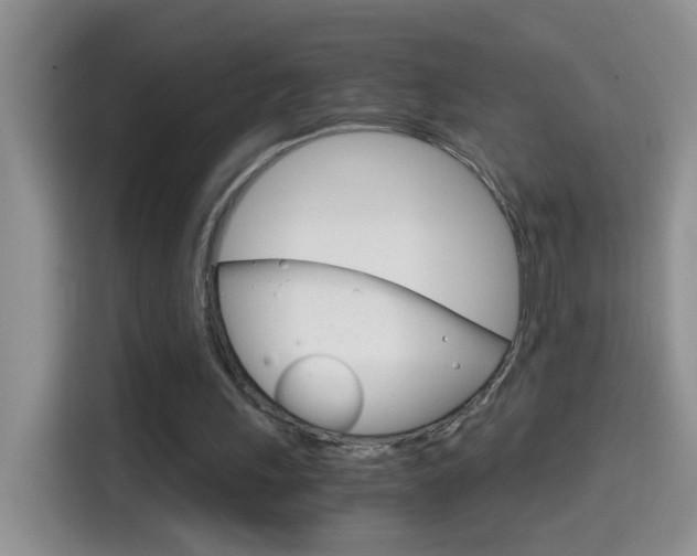 X0000114660243200910201026
