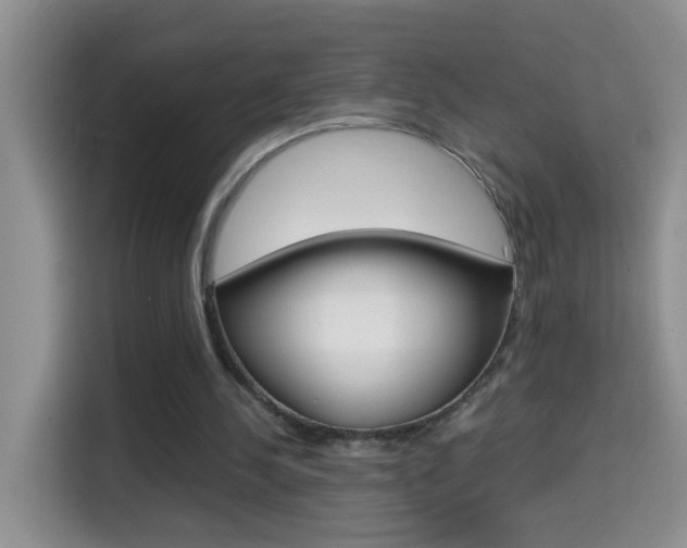 X0000114660244200910201026