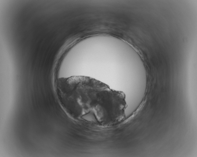 X0000114660245200910201026