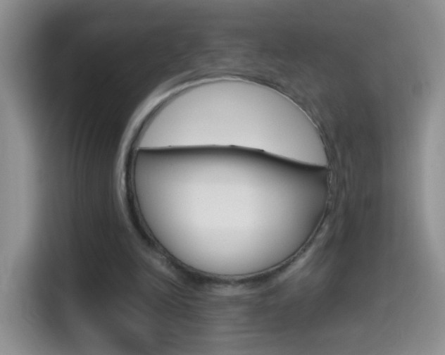 X0000114660246200910201026