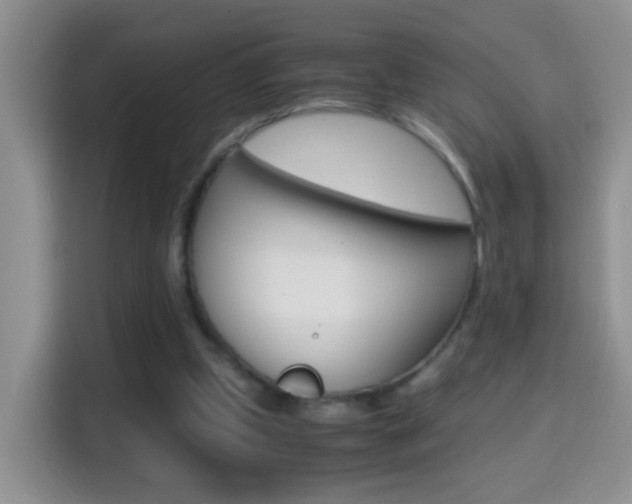 X0000114660249200910201026