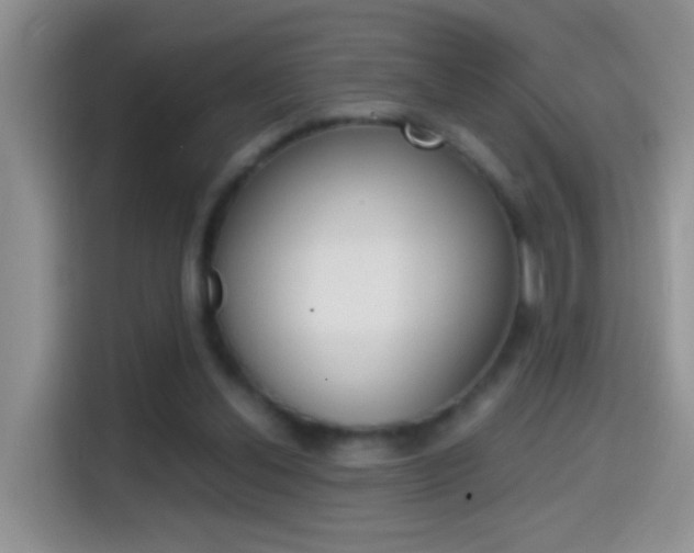 X0000114660252200910201026