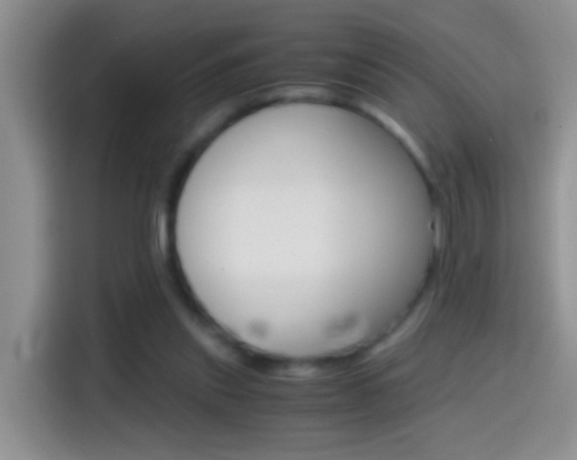X0000114660253200910201026