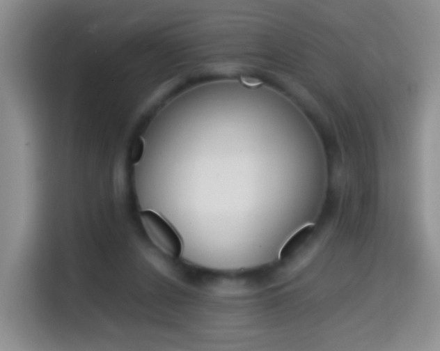 X0000114660256200910201026