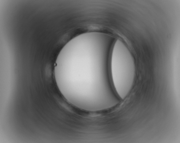X0000114660257200910201026