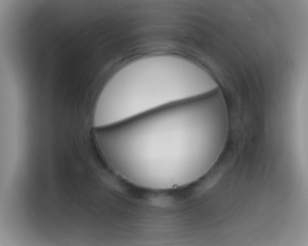 X0000114660258200910201026