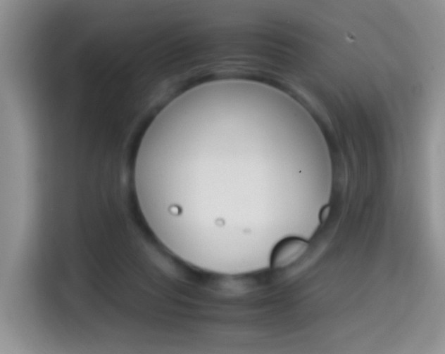 X0000114660261200910201026