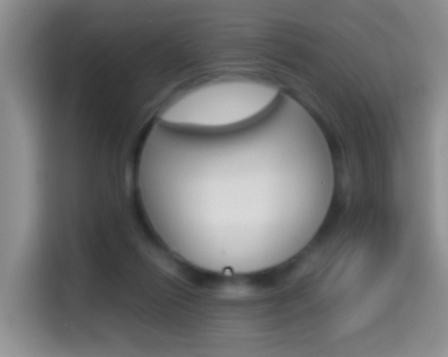 X0000114660262200910201026