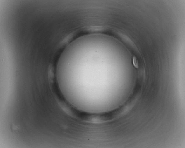 X0000114660264200910201027