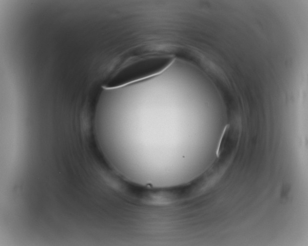 X0000114660268200910201027