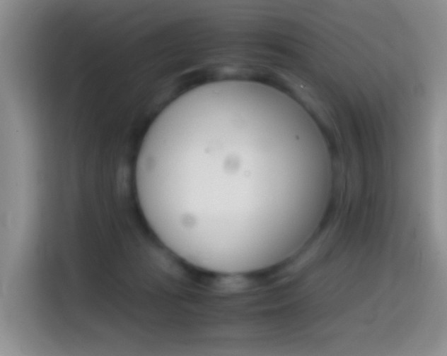 X0000114660269200910201027