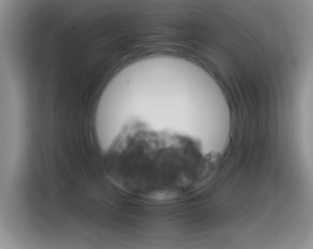 X0000114660275200910201027