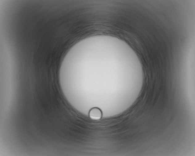X0000114660276200910201027