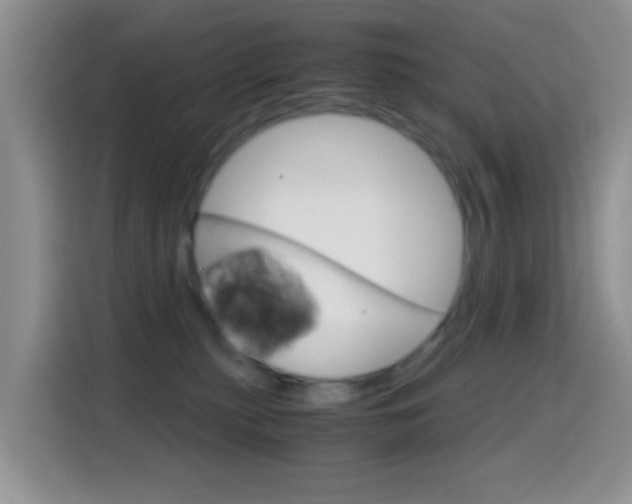 X0000114660279200910201027