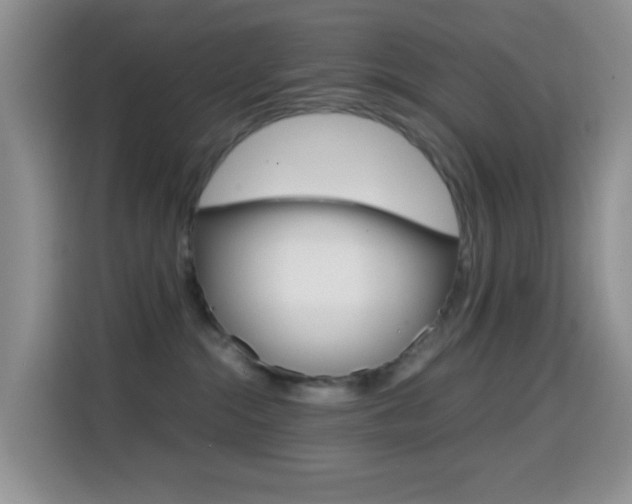 X0000114660284200910201027