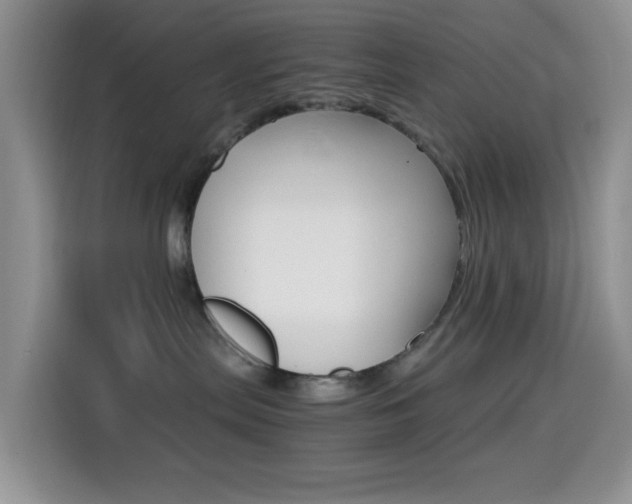 X0000114660287200910201027