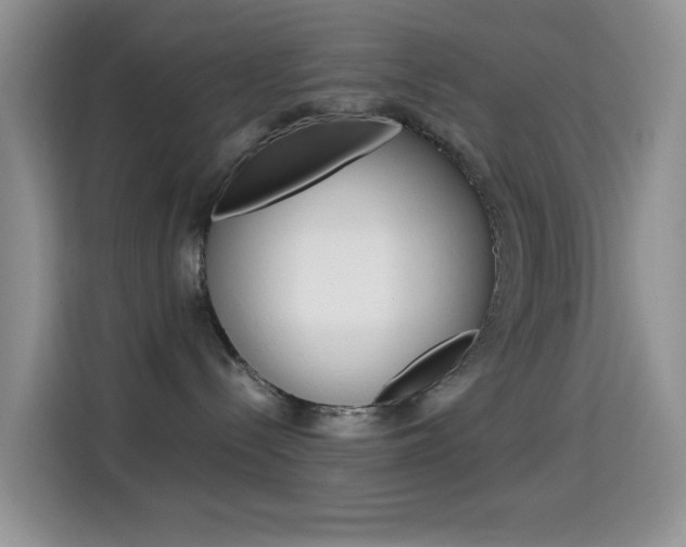 X0000114660288200910201027