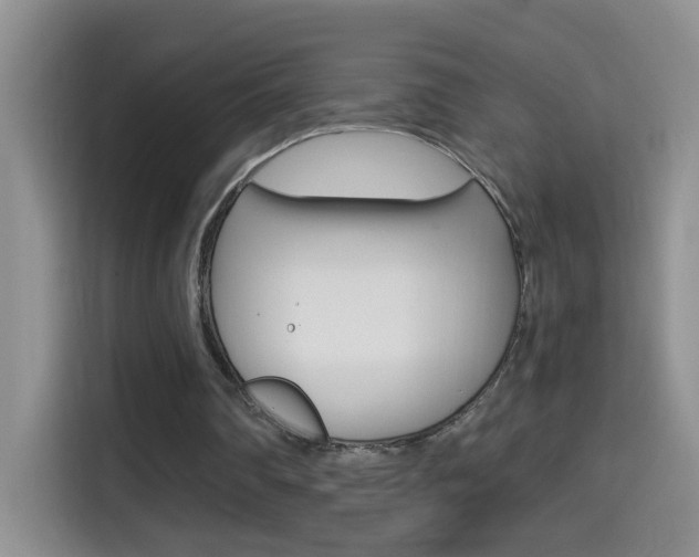X0000114660290200910201026