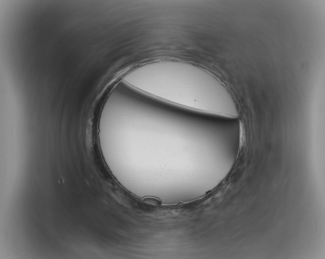 X0000114660291200910201026