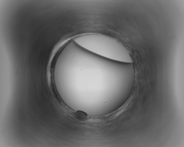 X0000114660294200910201026