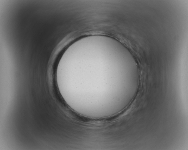 X0000114660295200910201026