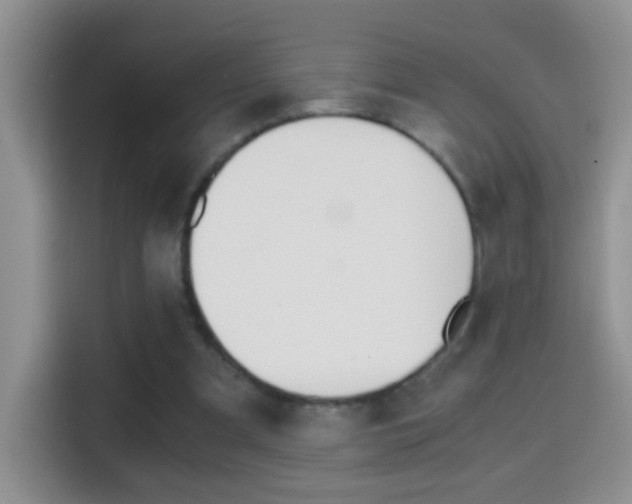 X0000114660297200910201026