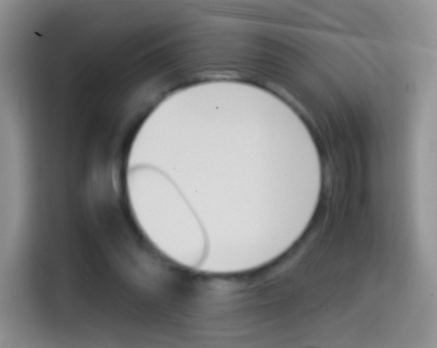 X0000114660302200910201026