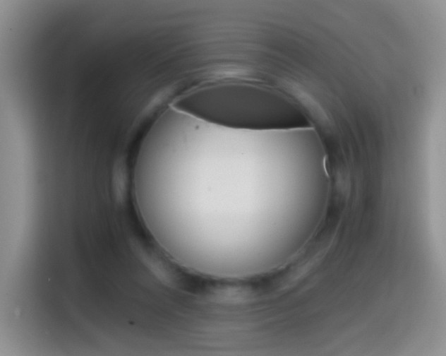 X0000114660304200910201026