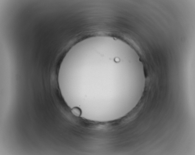 X0000114660306200910201026