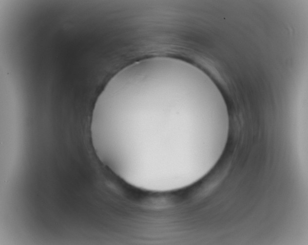 X0000114660307200910201026