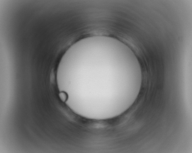 X0000114660310200910201026