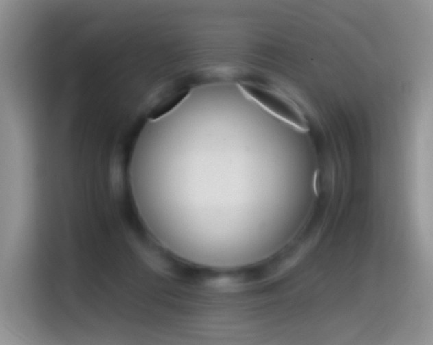 X0000114660312200910201026