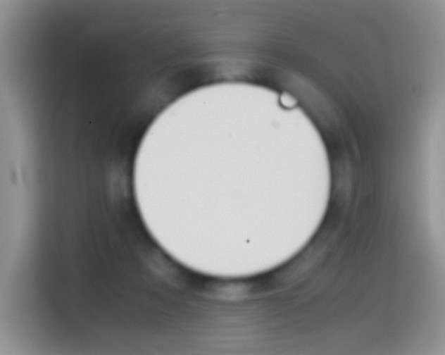 X0000114660313200910201026