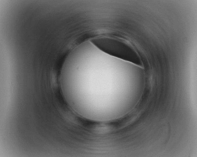 X0000114660316200910201026