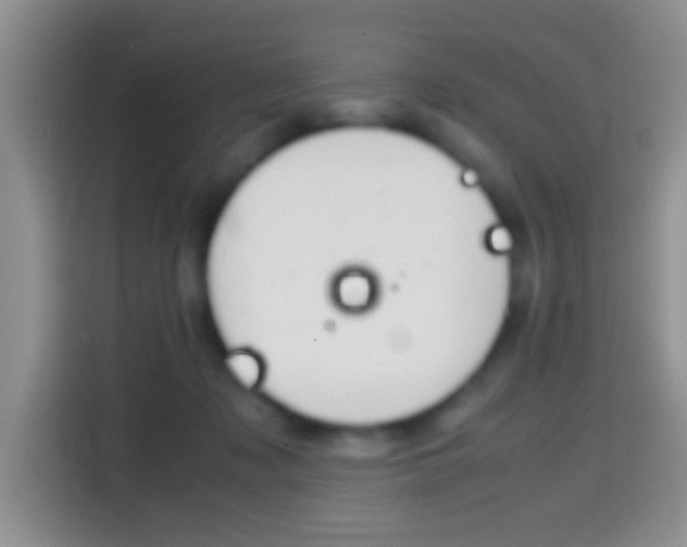 X0000114660317200910201026