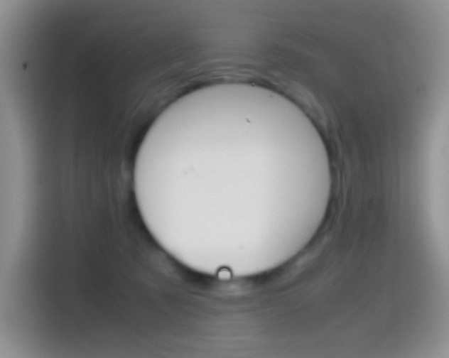 X0000114660321200910201026