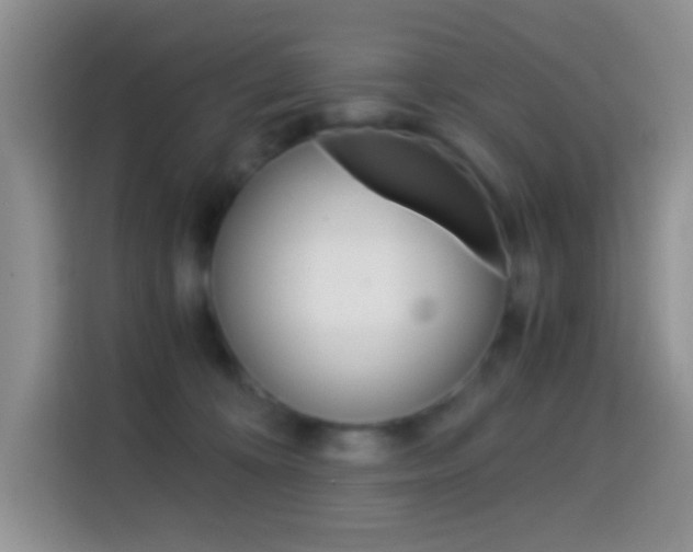 X0000114660324200910201026