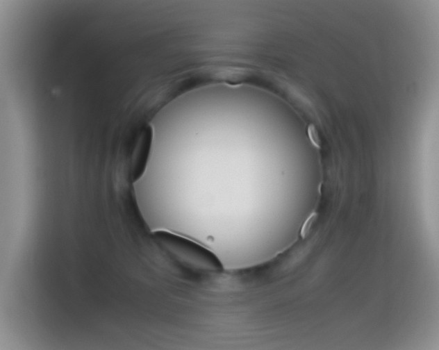 X0000114660325200910201026