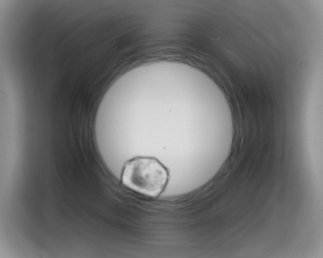 X0000114660328200910201026