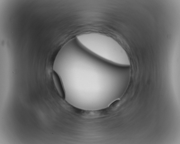 X0000114660329200910201026