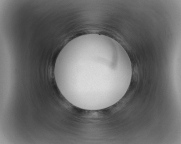 X0000114660330200910201026