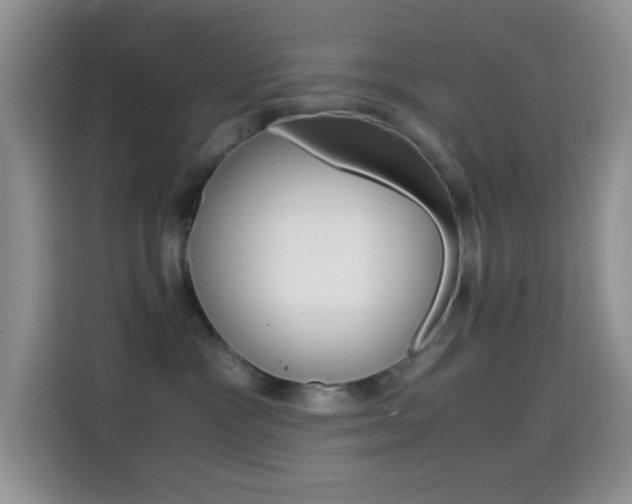 X0000114660333200910201026