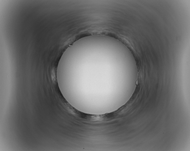 X0000114660335200910201026