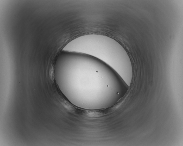 X0000114660336200910201026